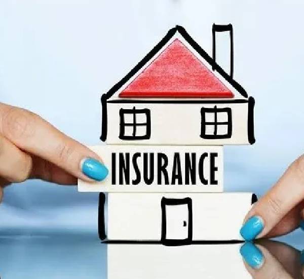 Life and Coverages Insurance Team